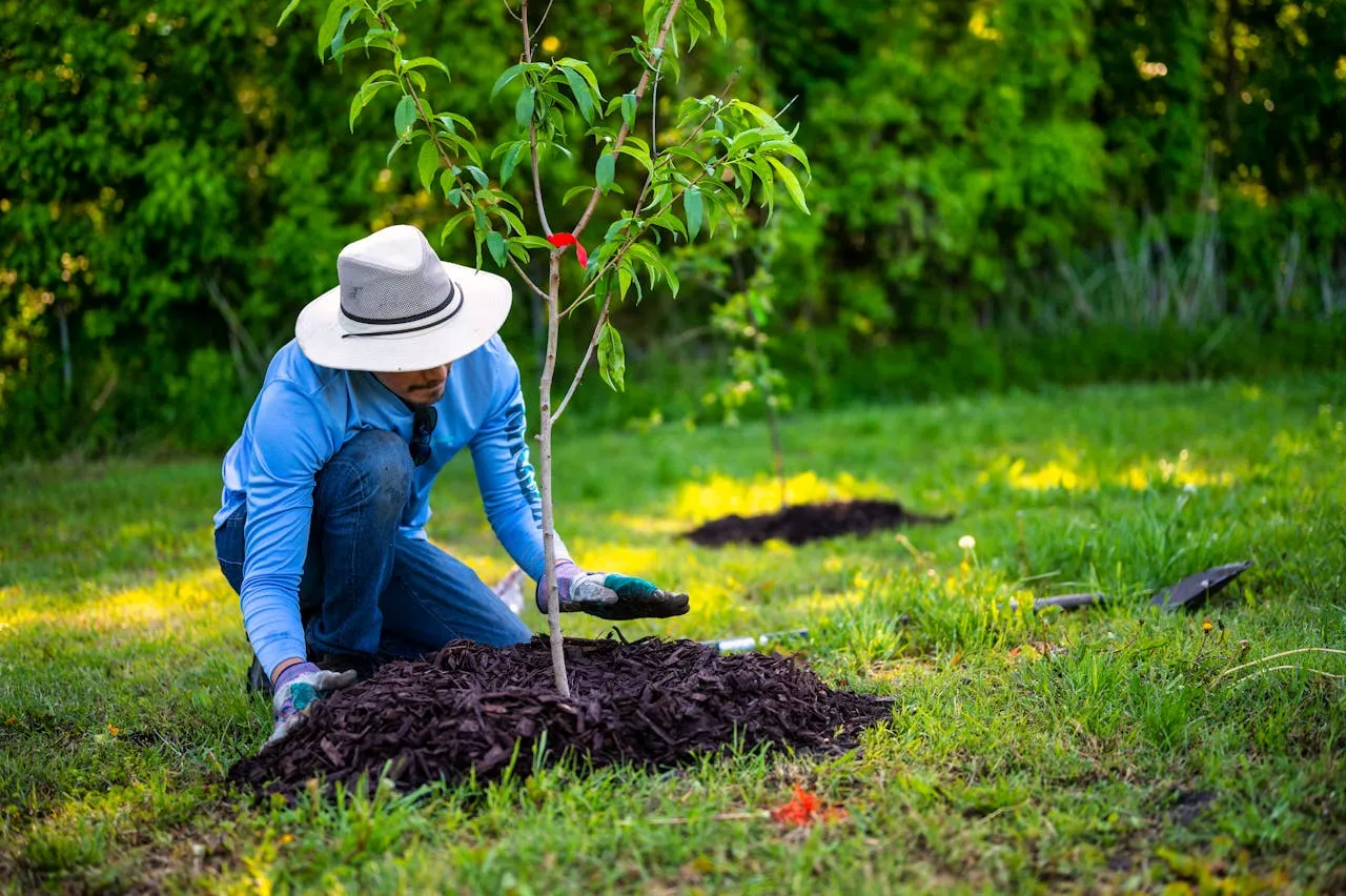 Champion Homes Plants Nearly 2M Trees with Arbor Day Foundation