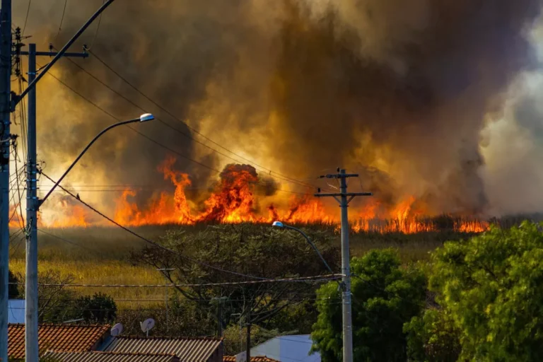 10,000+ Residents Seek Southern California Edison Aid for Eaton Fire Recovery