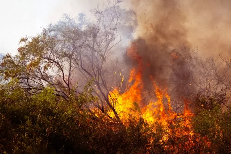 KatRisk Partners with Property Guardian to Enhance Wildfire Intelligence in Perilfinder