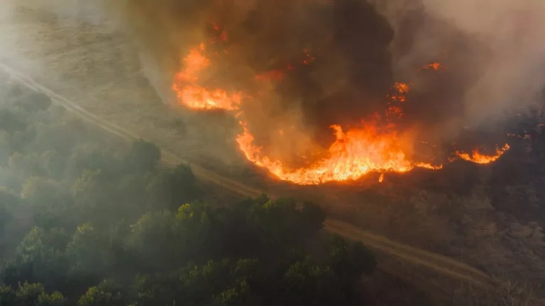 Property Guardian Partners with EigenRisk to Deliver Advanced Wildfire Risk Analytics
