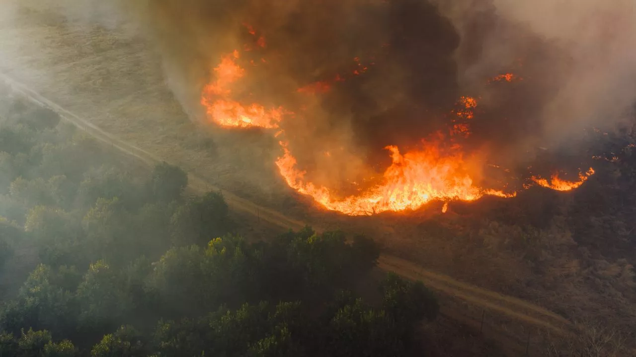 Property Guardian Partners with EigenRisk to Deliver Advanced Wildfire Risk Analytics