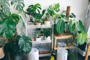 Vitacorps Launches Cost-Saving Indoor Air Purification System