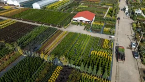 Devil Mountain, a SiteOne Landscape Supply Subsidiary, Acquires Patterson Nursery Sales