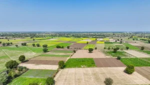 W Land Development Adds Digital Infrastructure Development to Its ‘Land to Living’ Platform