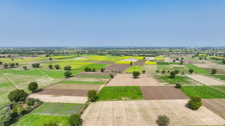 W Land Development Adds Digital Infrastructure Development to Its ‘Land to Living’ Platform