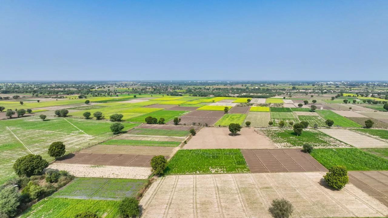W Land Development Adds Digital Infrastructure Development to Its ‘Land to Living’ Platform