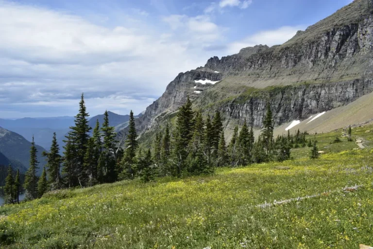 Granite Wins Medicine Road Rehabilitation Project in Glacier National Park
