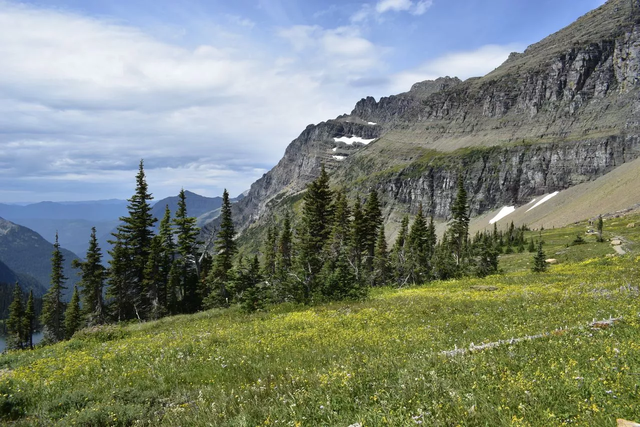 Granite Wins Medicine Road Rehabilitation Project in Glacier National Park