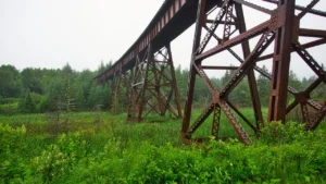 Granite Secures SR 202 Widening and Trestle Replacement Project